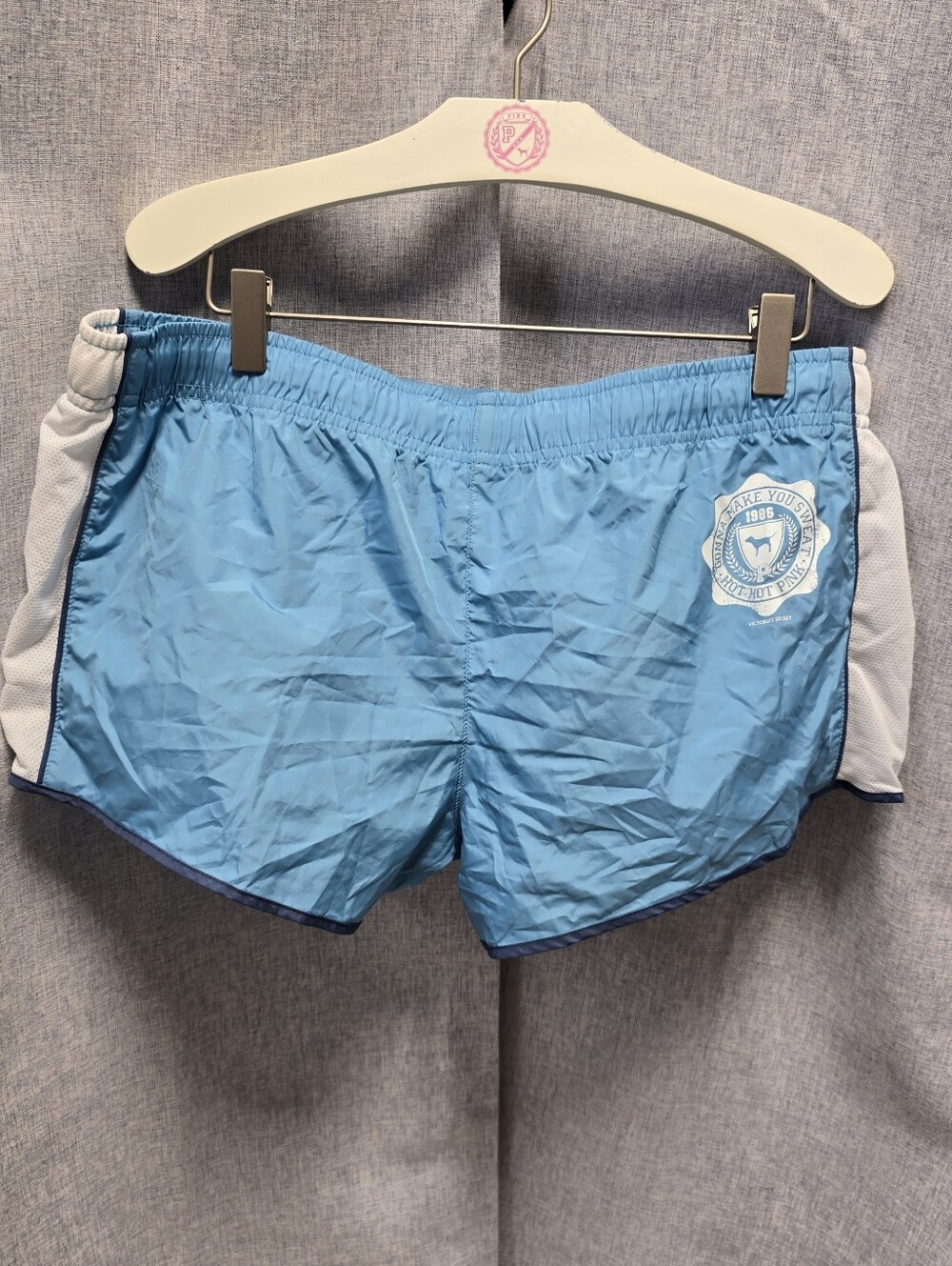 Vintage Victoria's Secret PINK Mini Booty Shorts Size Large Y2K NWT Year 2007